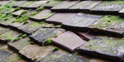 Rhosybol roof repair costs